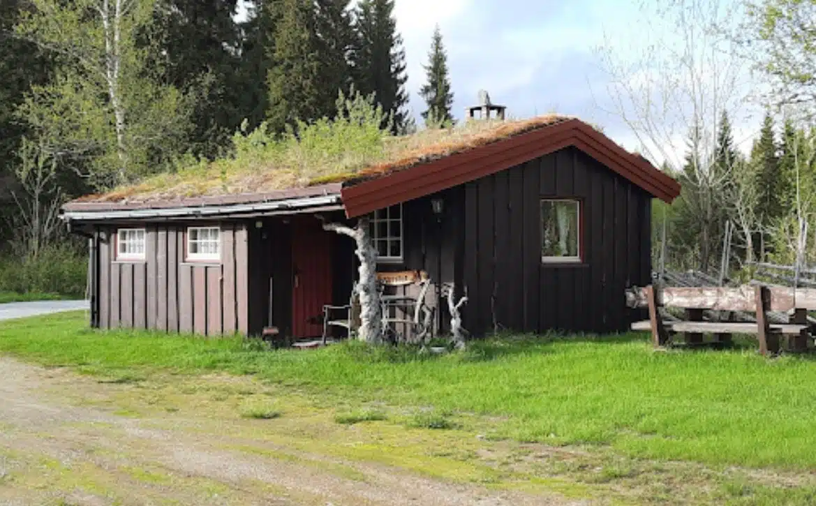 Ikon for Overnatting